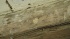 20100428_hk_4 20100428_hk_4
