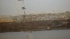 20100428_hk_5 20100428_hk_5